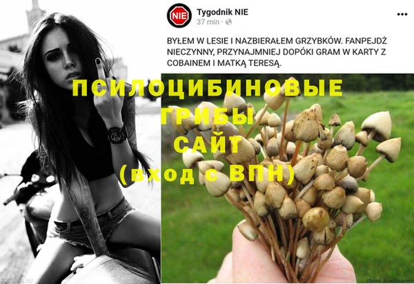 марки nbome Белоозёрский