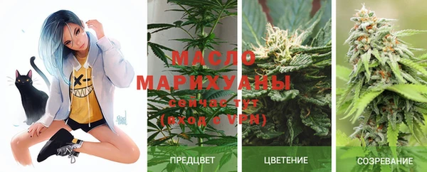 индика Апатиты
