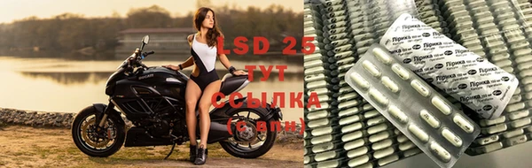 ПСИЛОЦИБИНОВЫЕ ГРИБЫ Беломорск